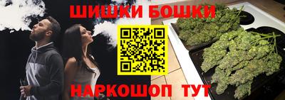 ешки Бийск