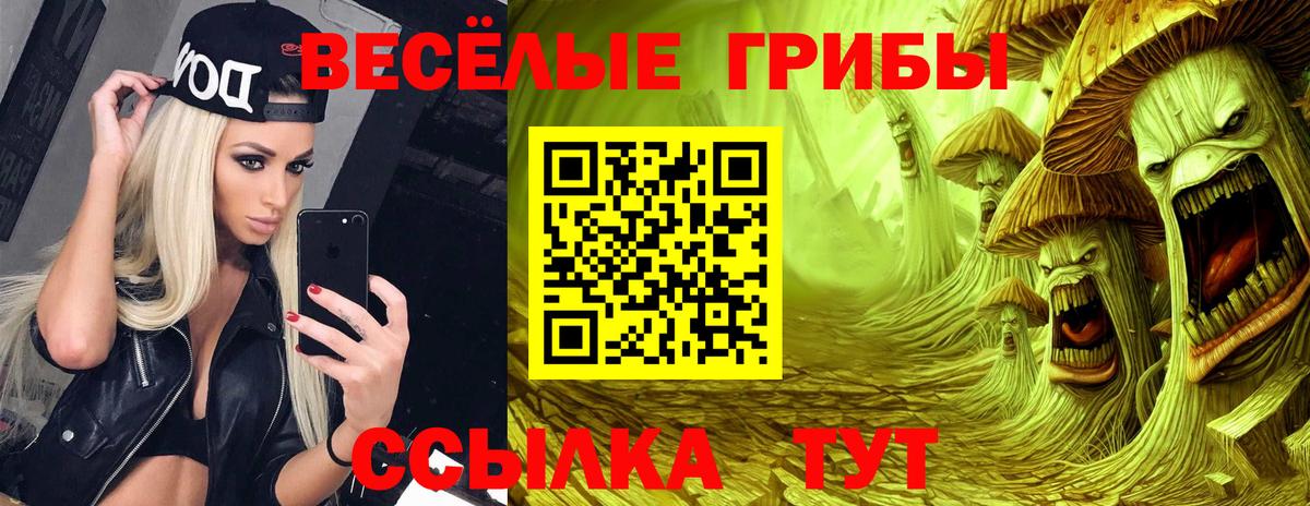 купить закладку  Галлюциногенные грибы мицелий  Вход с VPN  Звенигород 